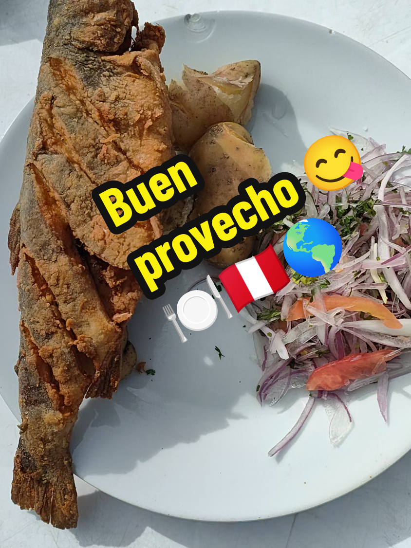 @Proyecto Pachamama, Te Sigue.