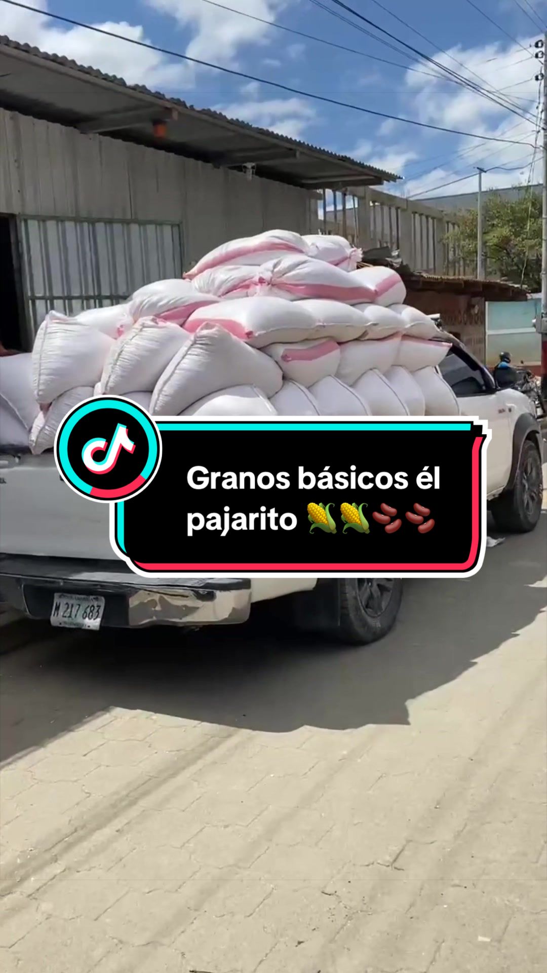 @Granos básicos él pajarito 🌽