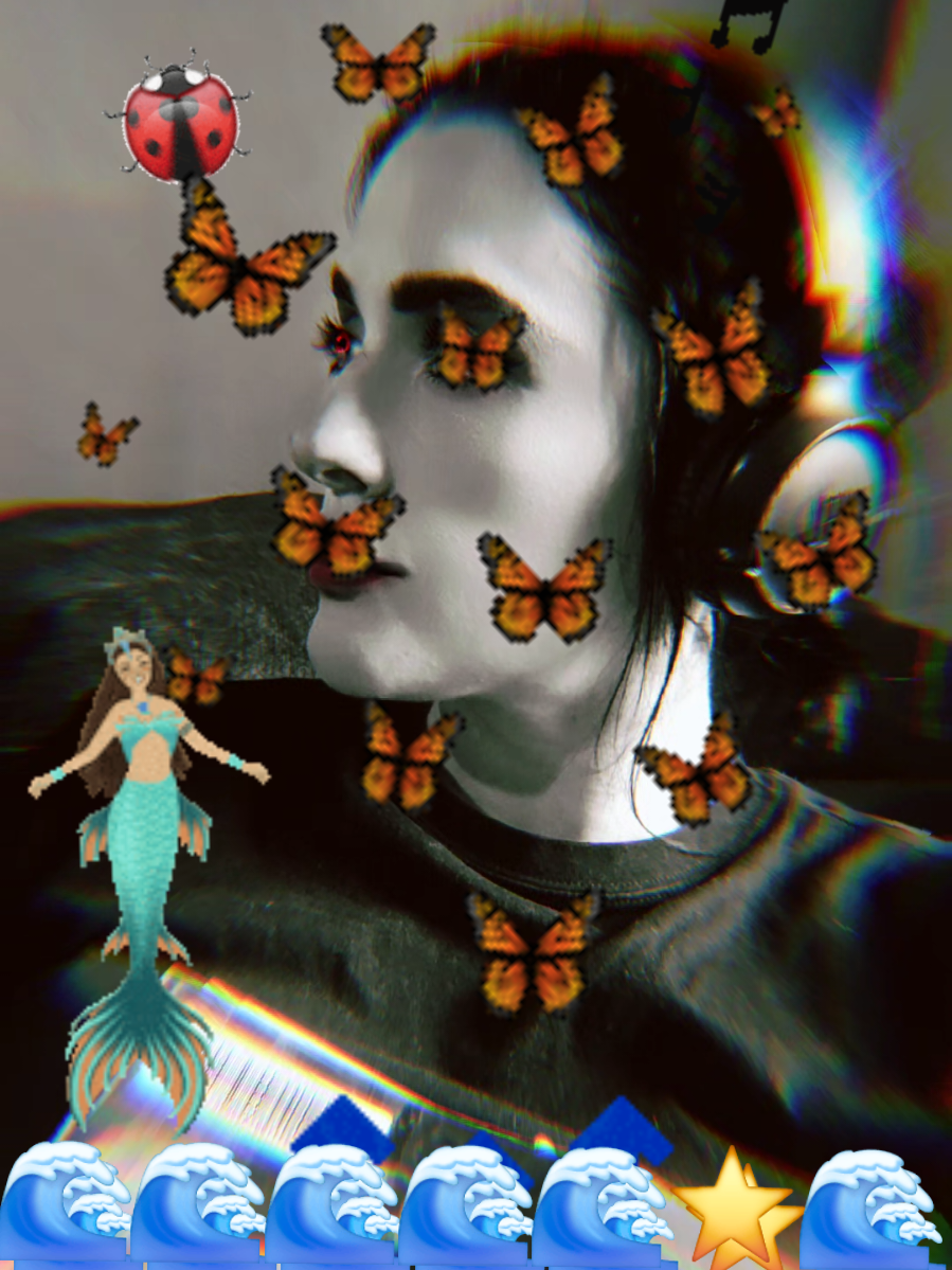 @๐๐ถLady๐Bugs๐ถ๐