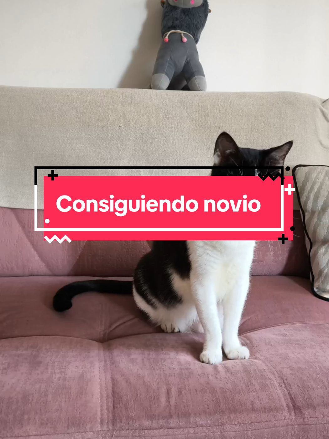 @Kiry Hols 🐈