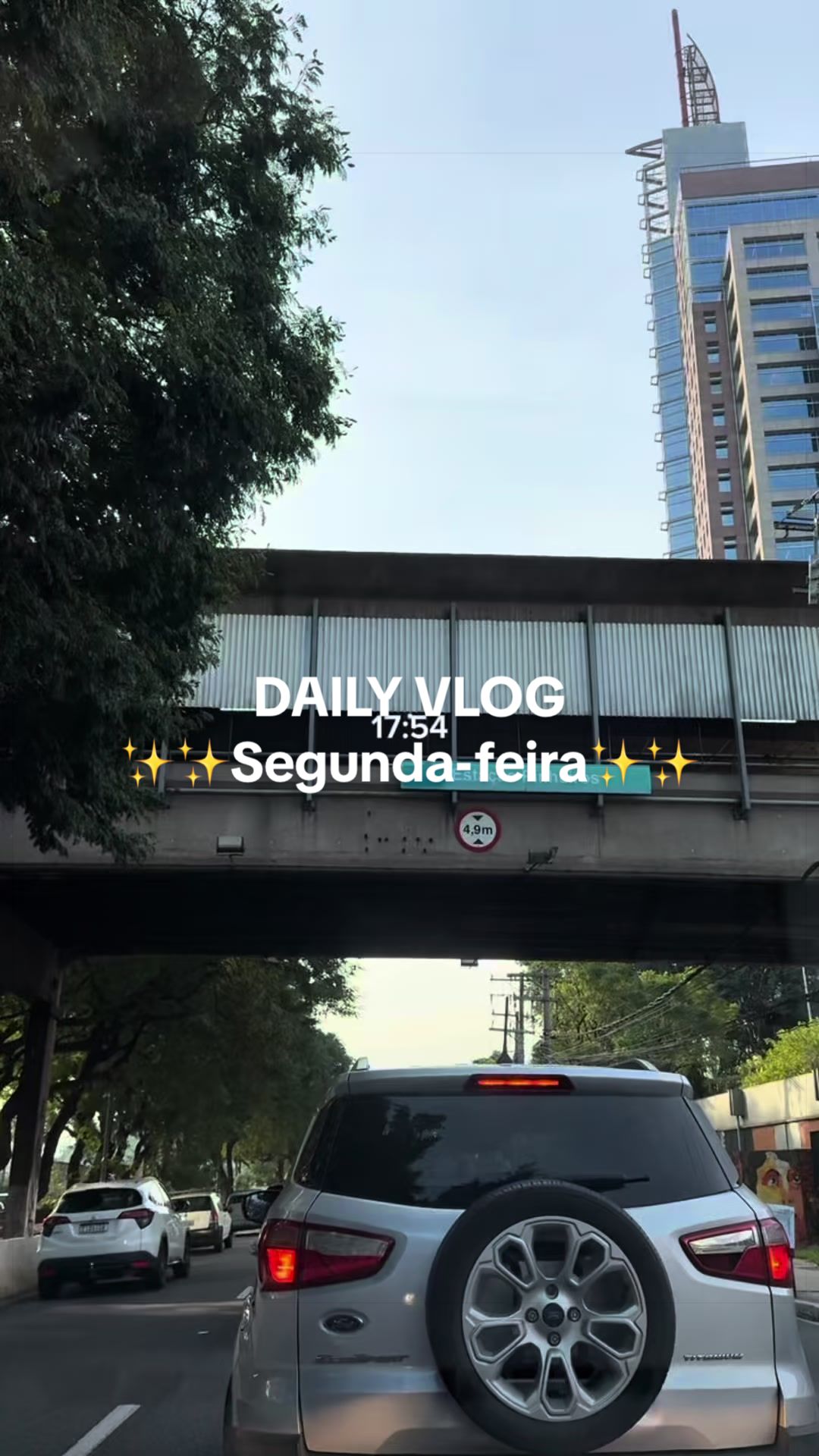 @Aline Freitas