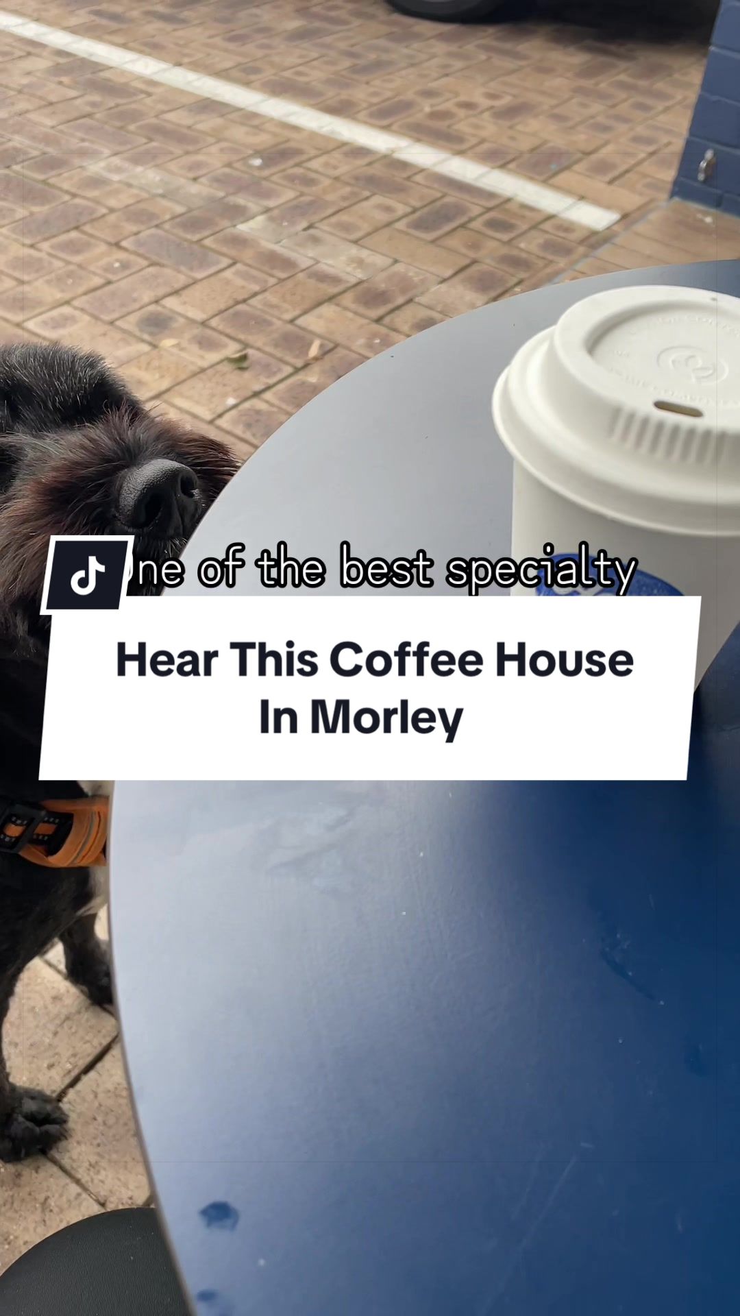 @Okarina | Perth Pawrent Guide