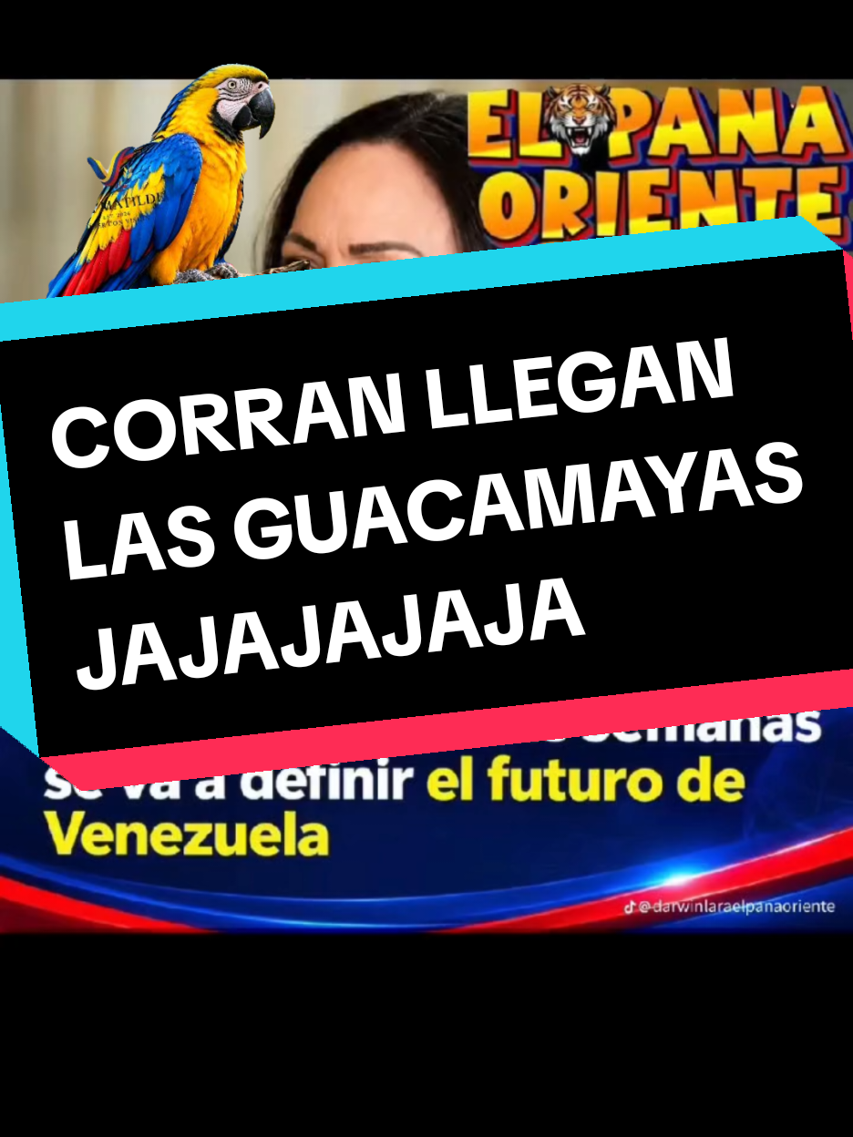 @CHOMPIRO50