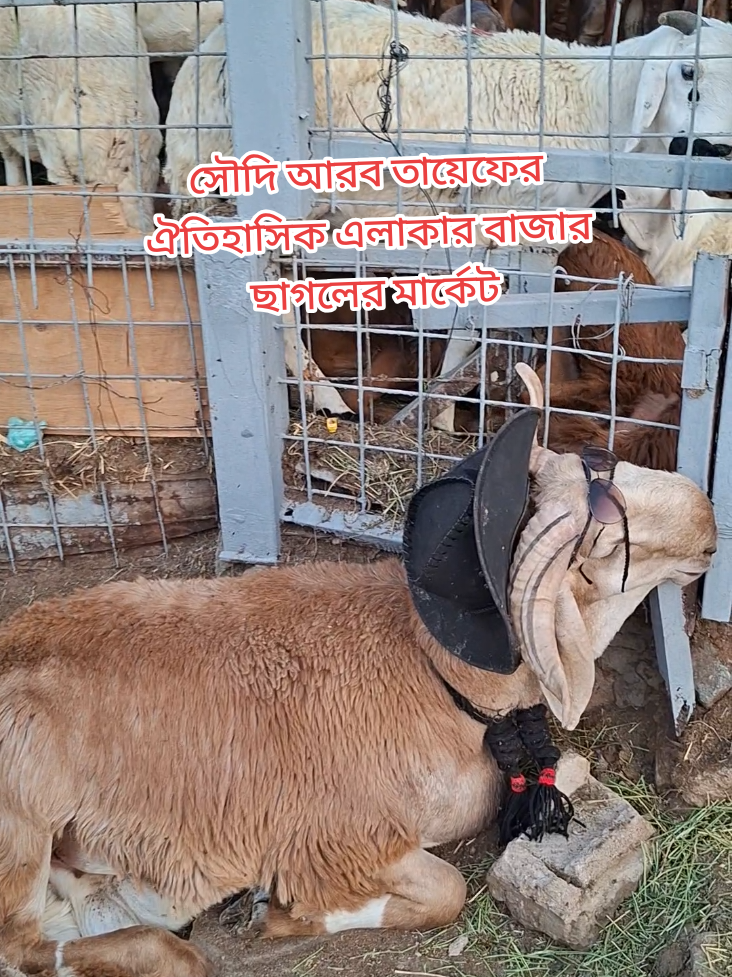 @অদৃশ্য মানব