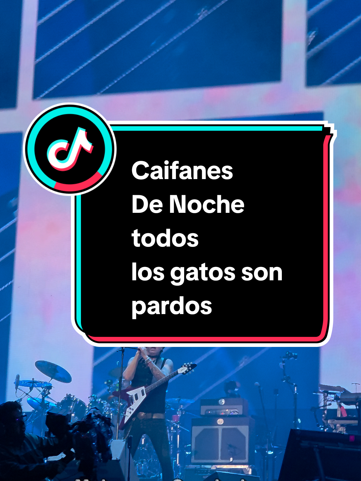 @Melomano Conciertero