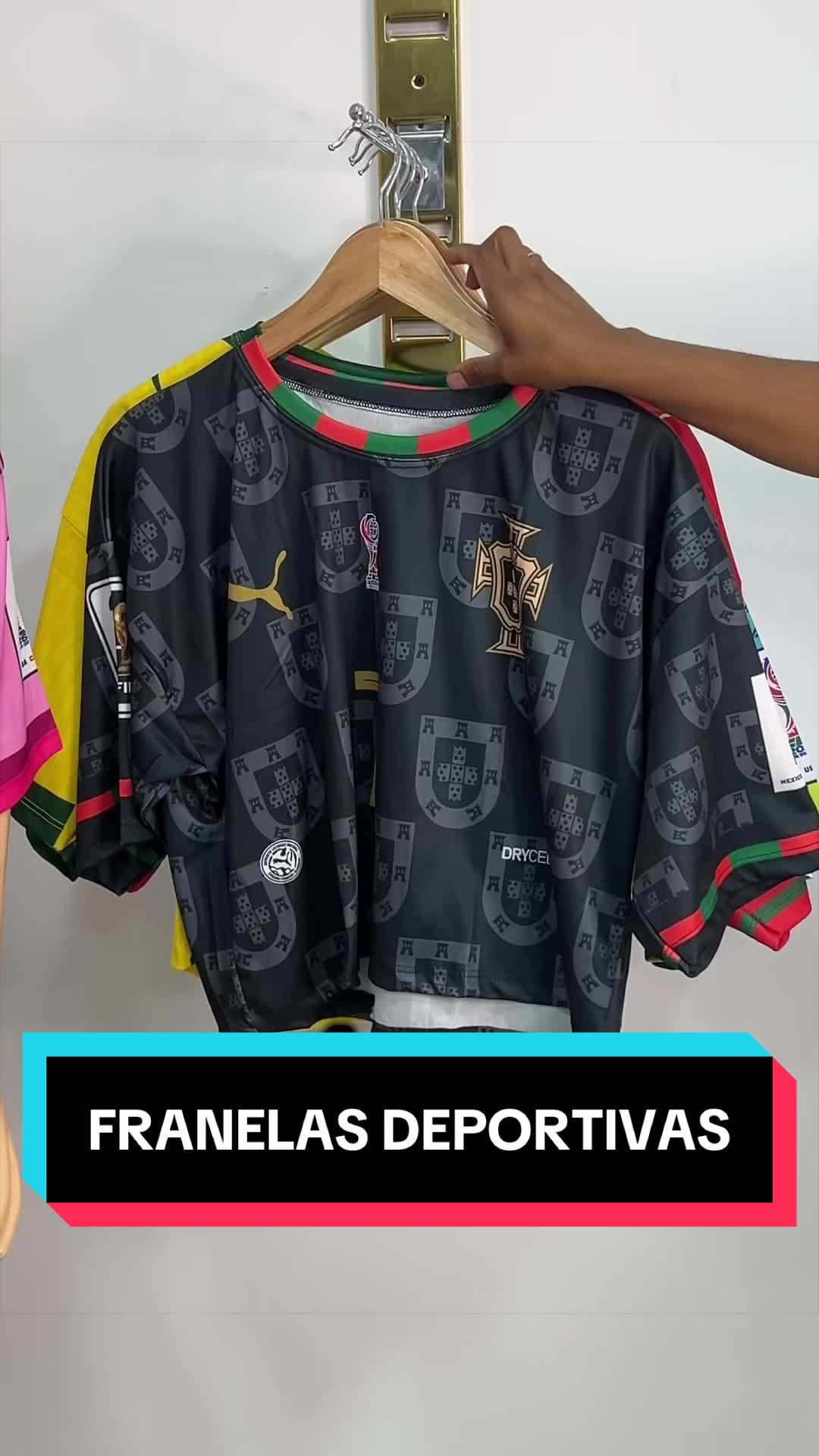 @yoeccs.collection