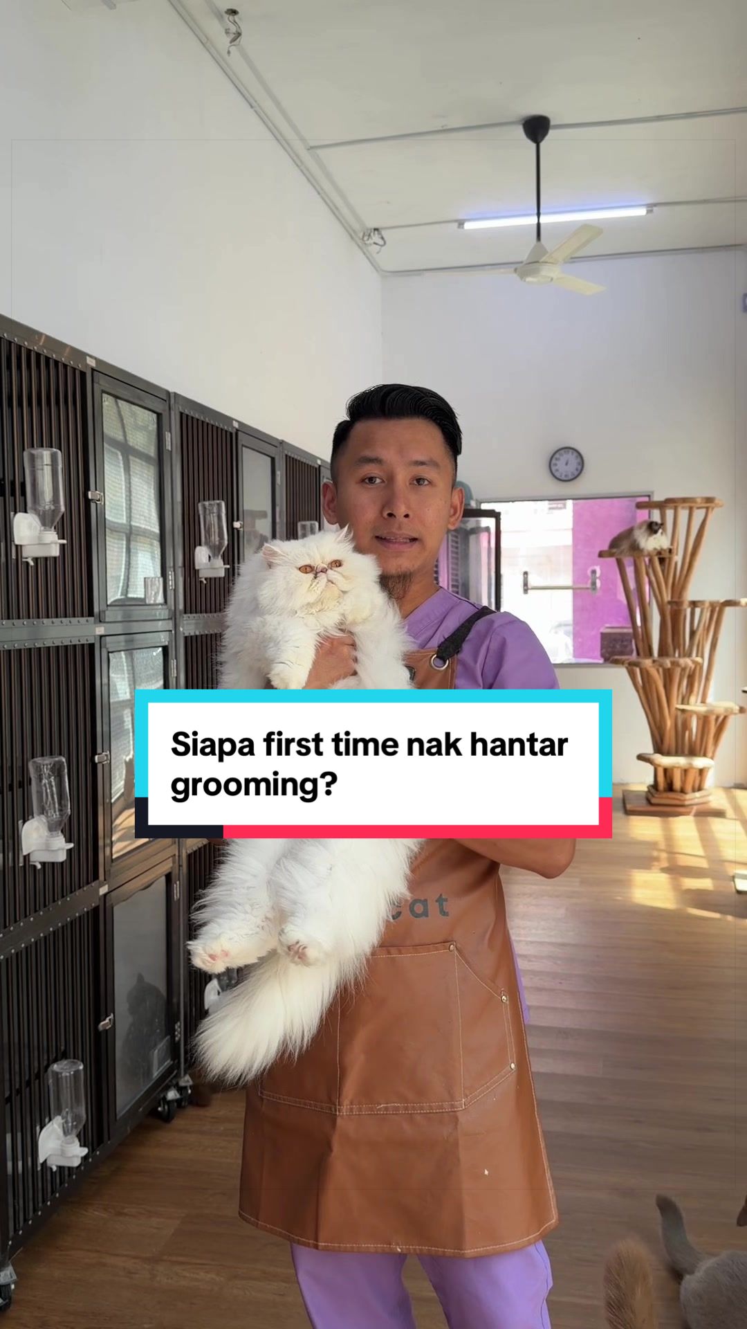 @MOZICAT | CAT GROOMING RAWANG