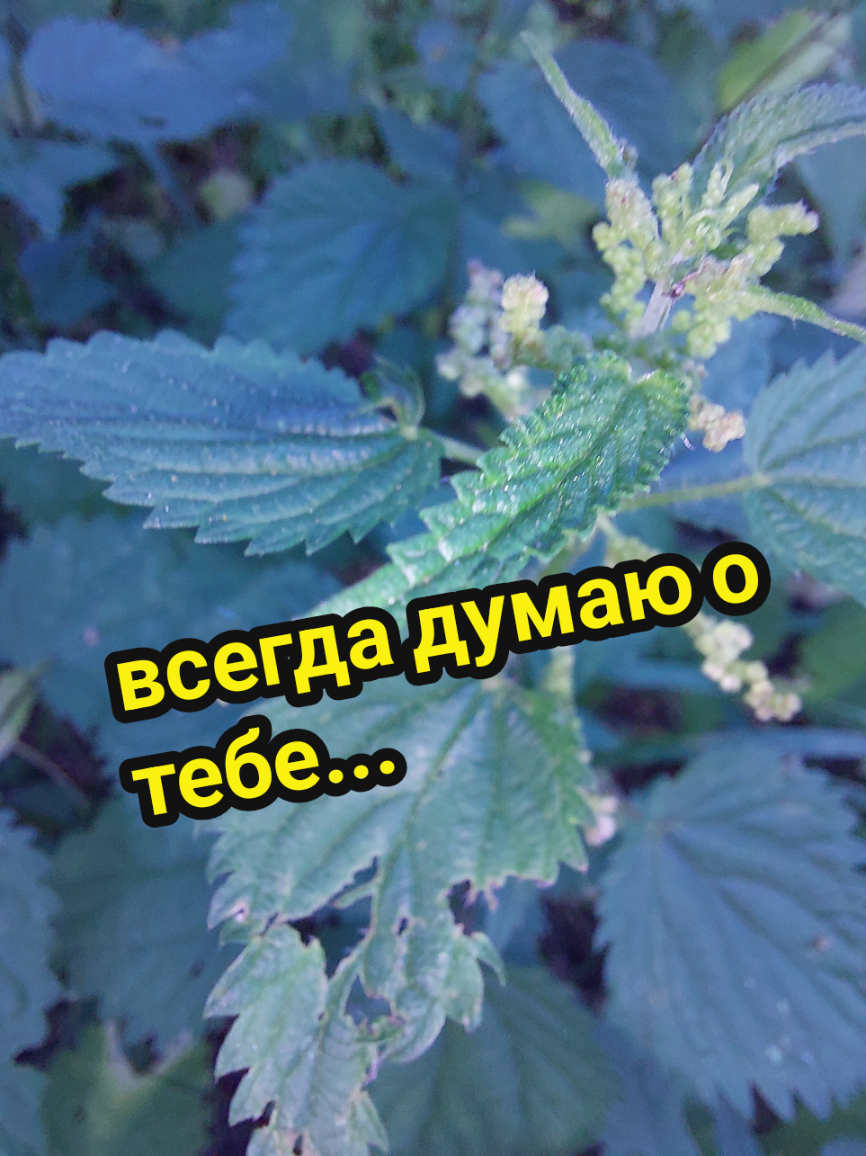 @Рыся✔️🇧🇾