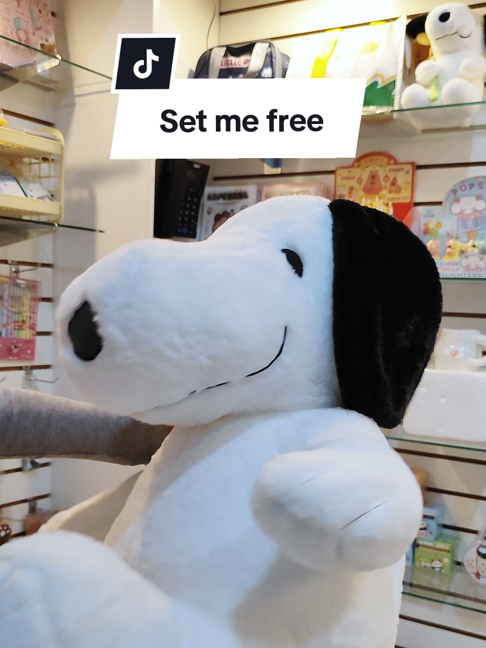 @Booshi MOSHI Store