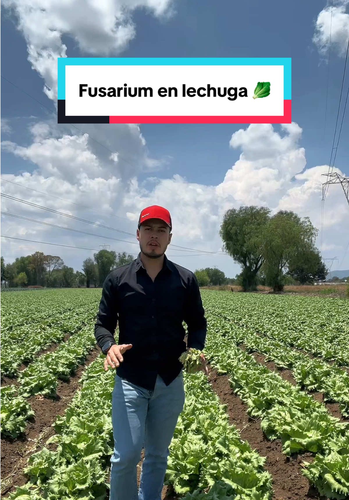 @agroboy_mx