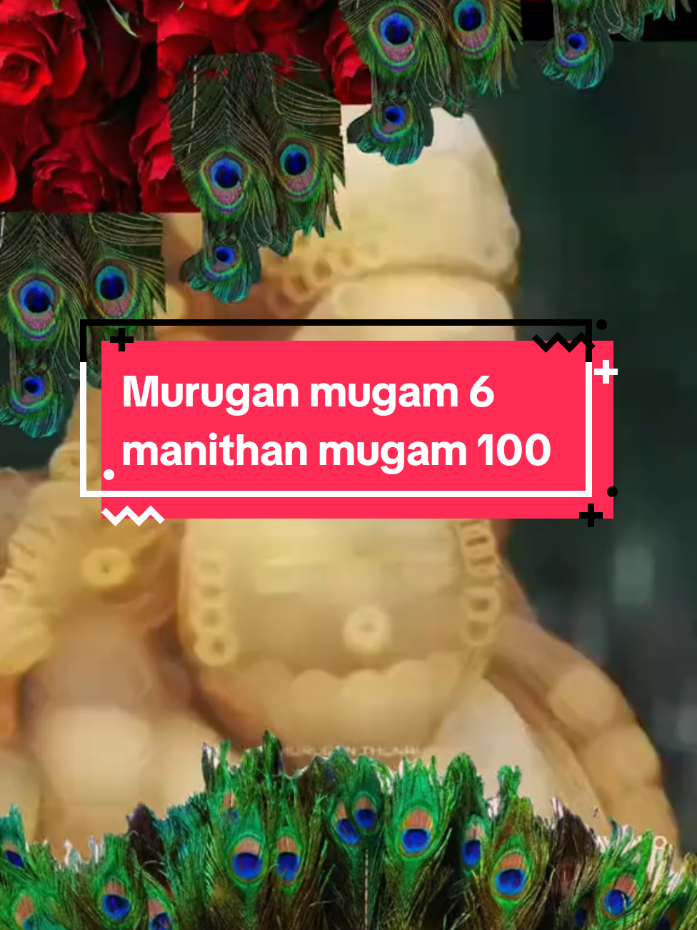 @ST2025gurz