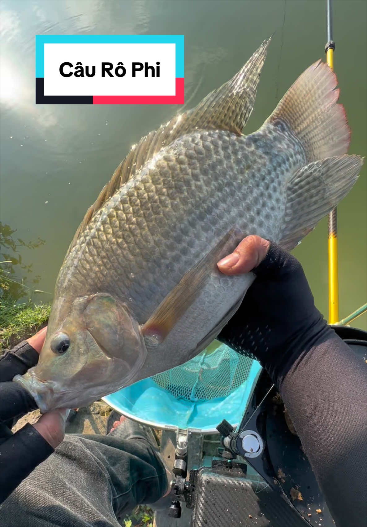 @Đồ C&acirc;u Thiện Ph&uacute; Thọ