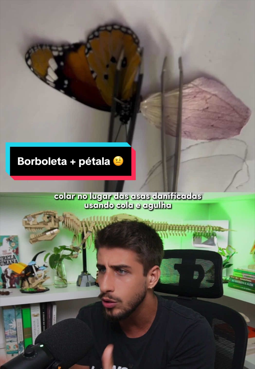 @Yago Stephano