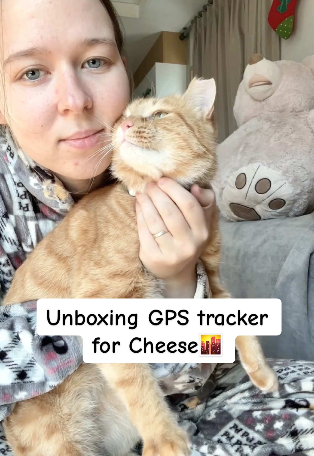 @MyStrayCheese