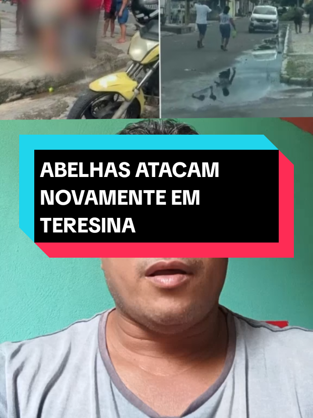 @GF NOTICIAS OFICIAL