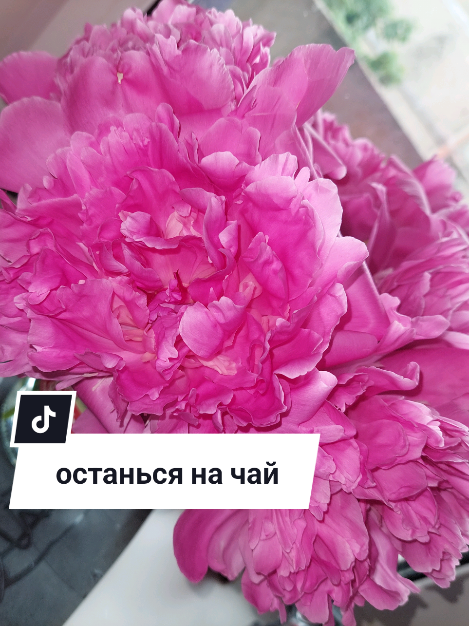 @Рыся✔️🇧🇾