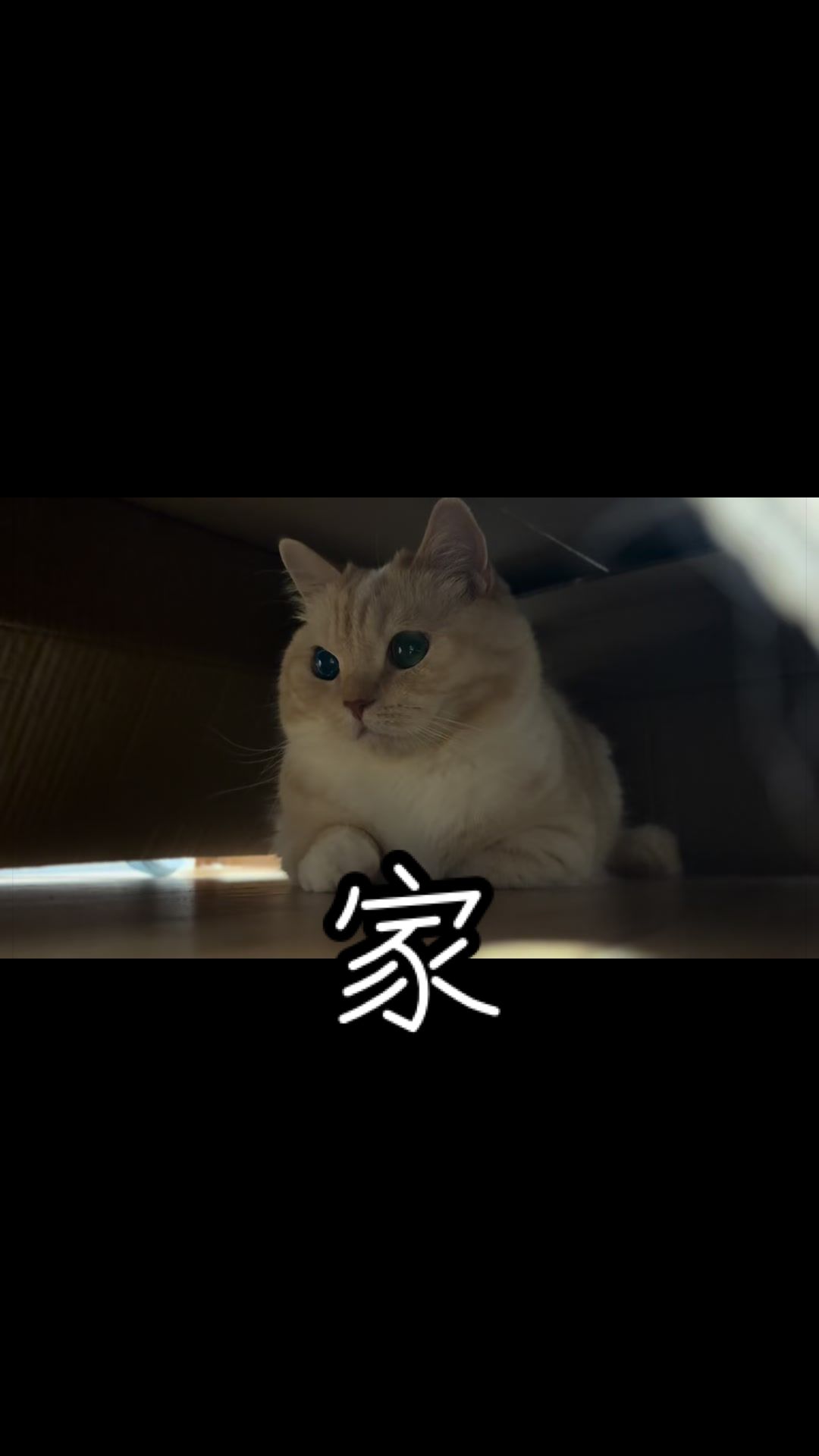 @縫くんと私