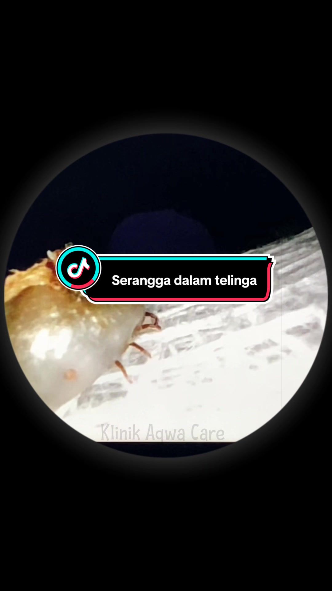 @Klinik Aqwa Care