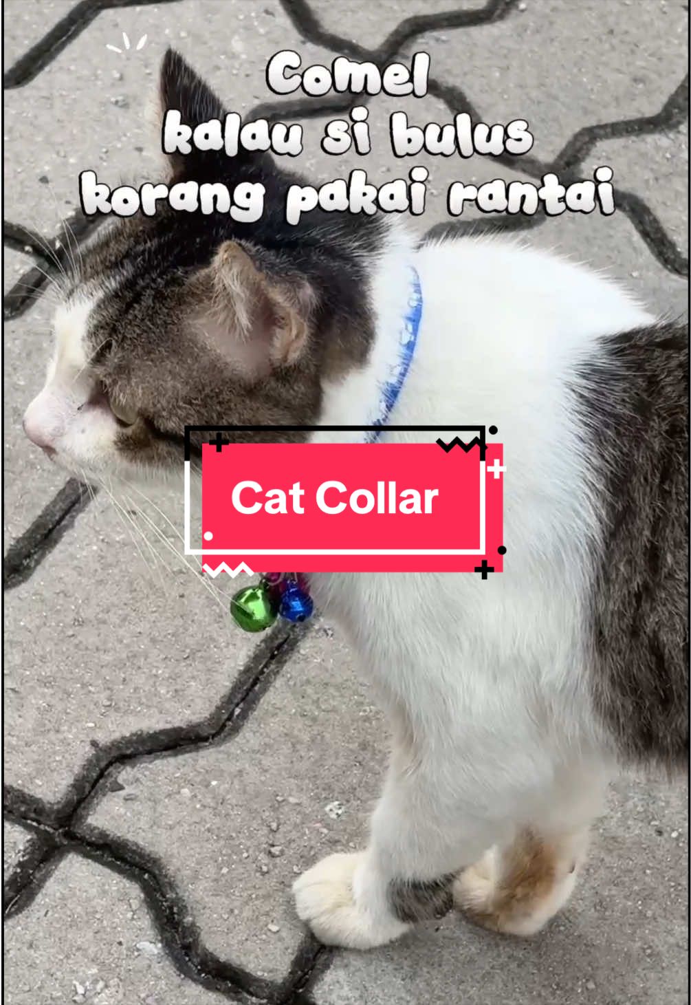 @Candy Pet House
