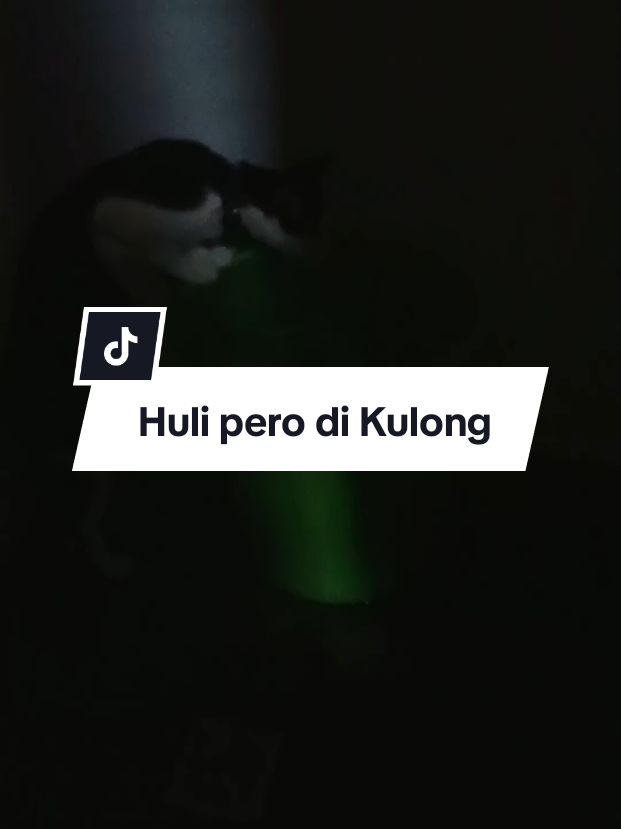 @inday alicia