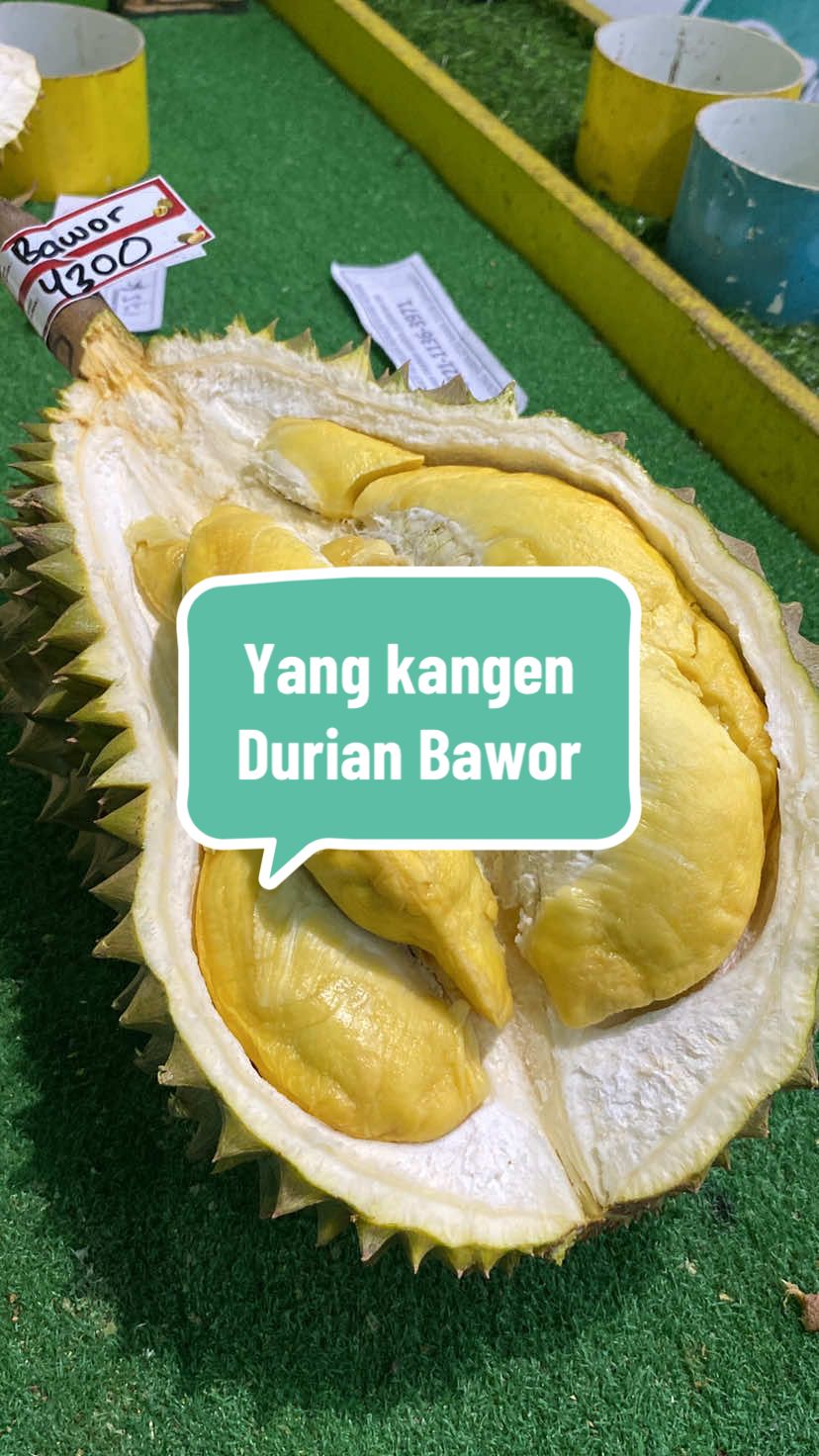 @Rumah Tamma Durian