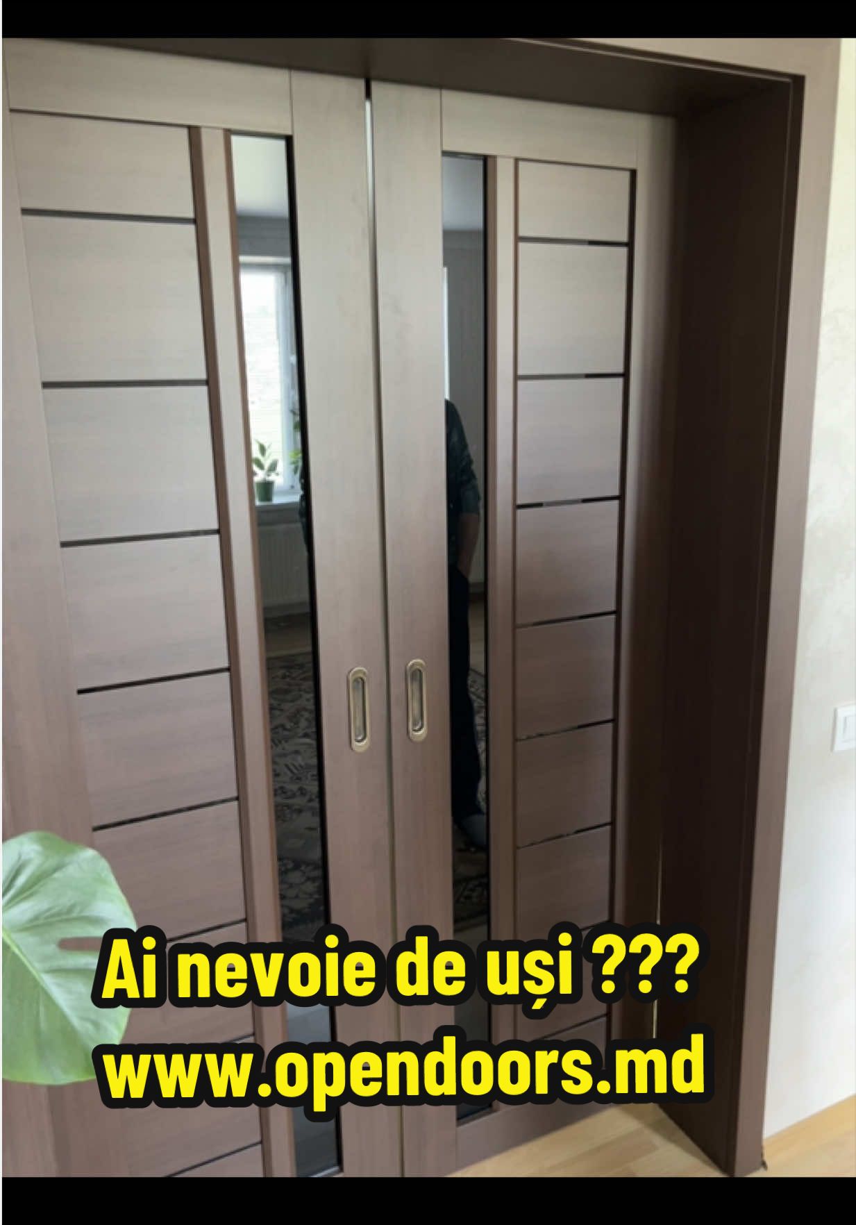 @usi.opendoors.md