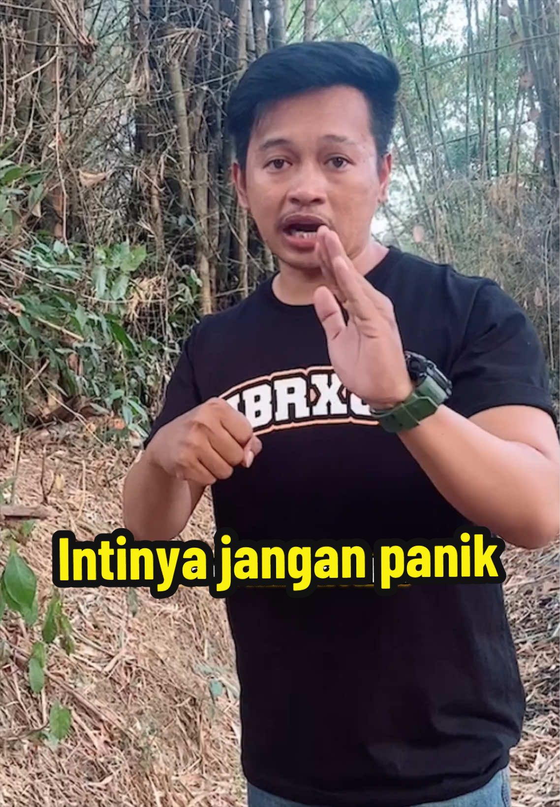 @andri