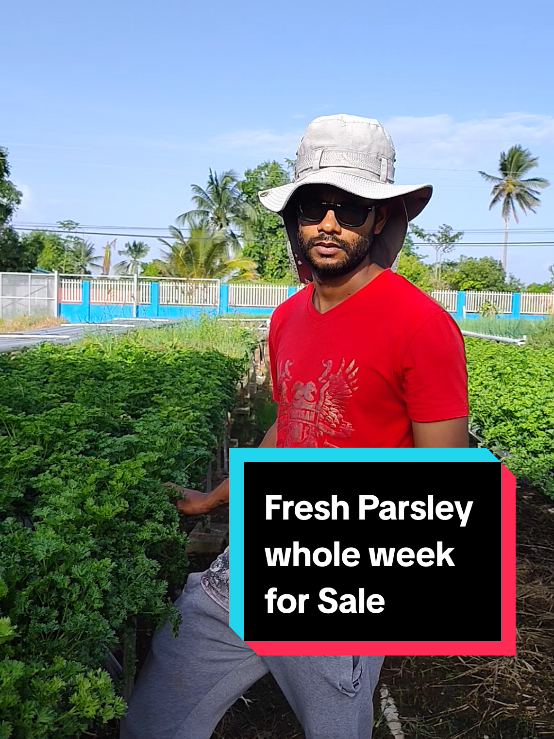 @Trini Farmer Chris 469 7467