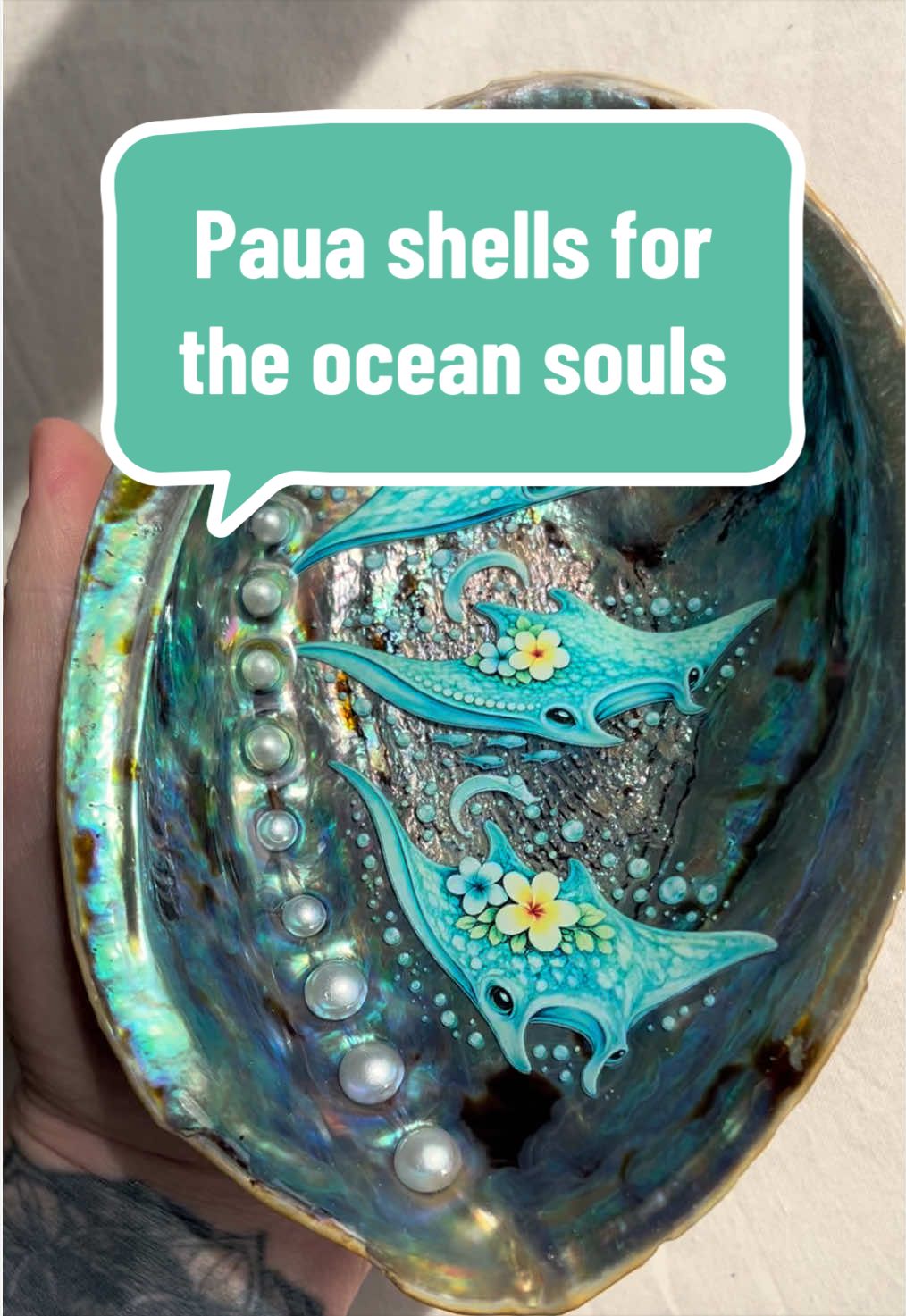 @Dusty J Designs | Shells