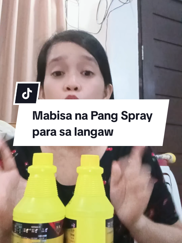 @inday alicia