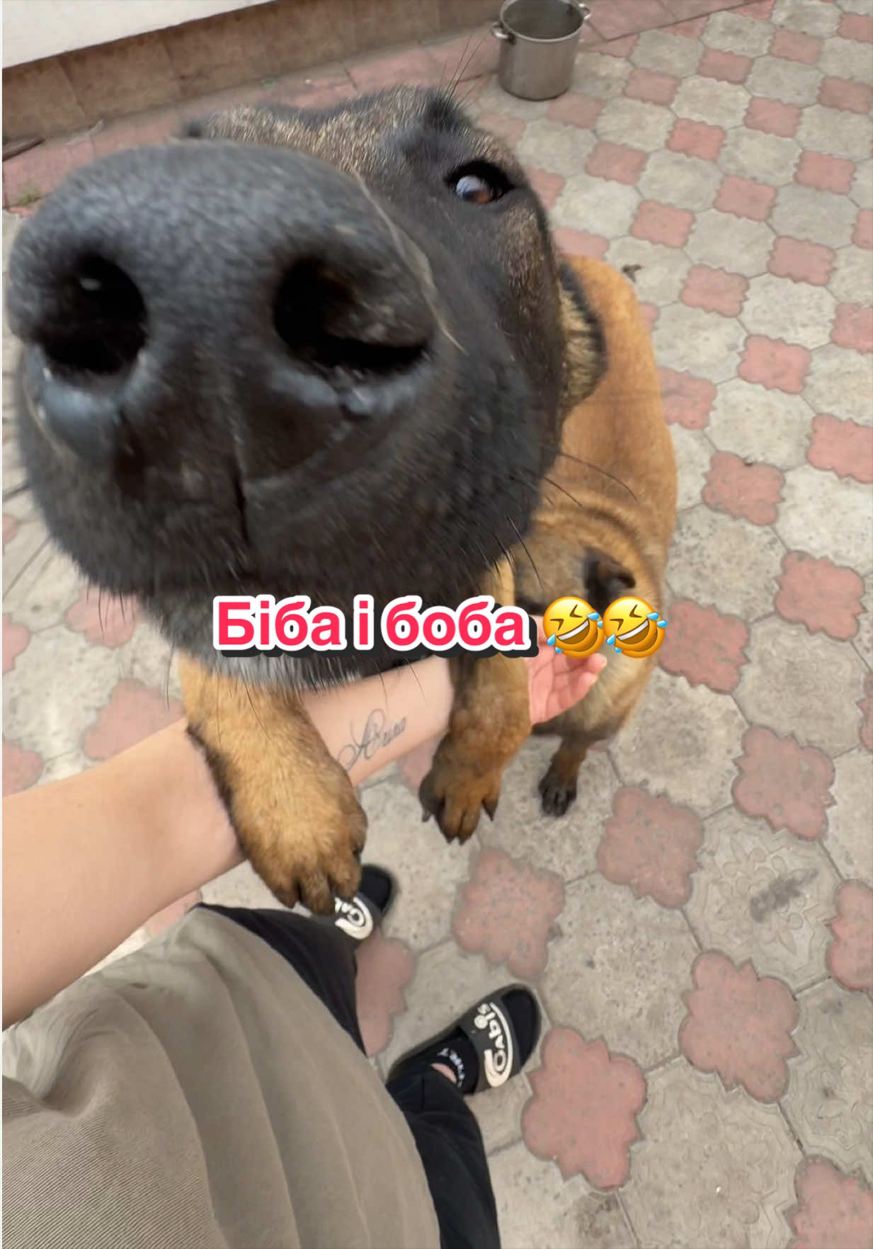 @Lilisha____