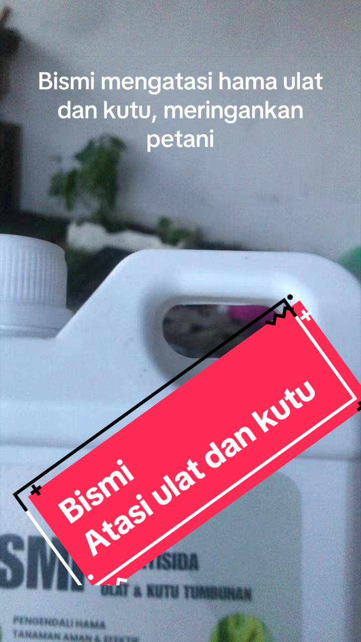@KUD TANI