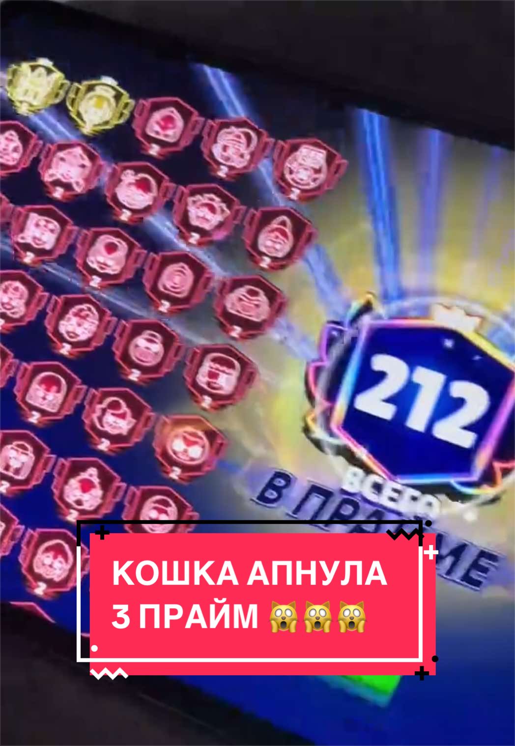 @Kotyara