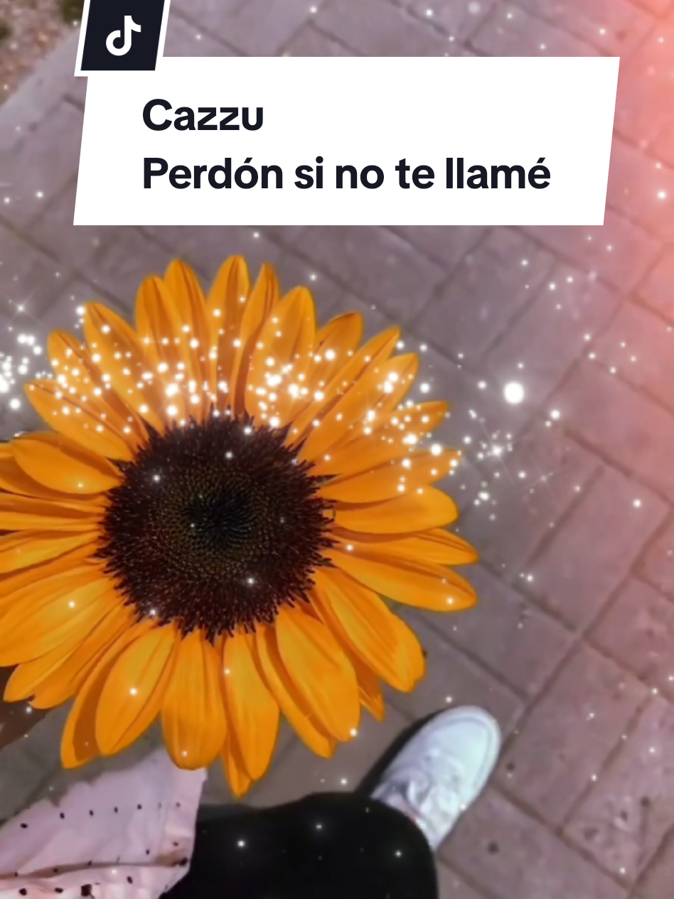 @variedades 22A