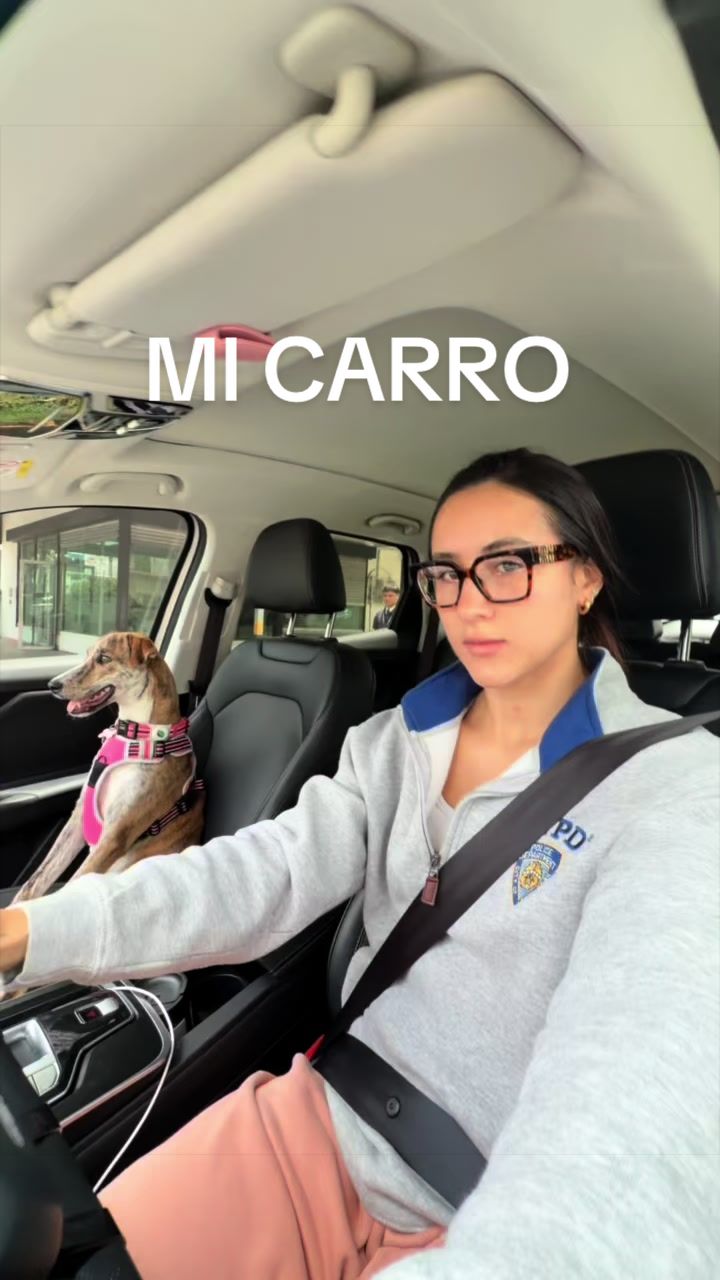 @paola viale