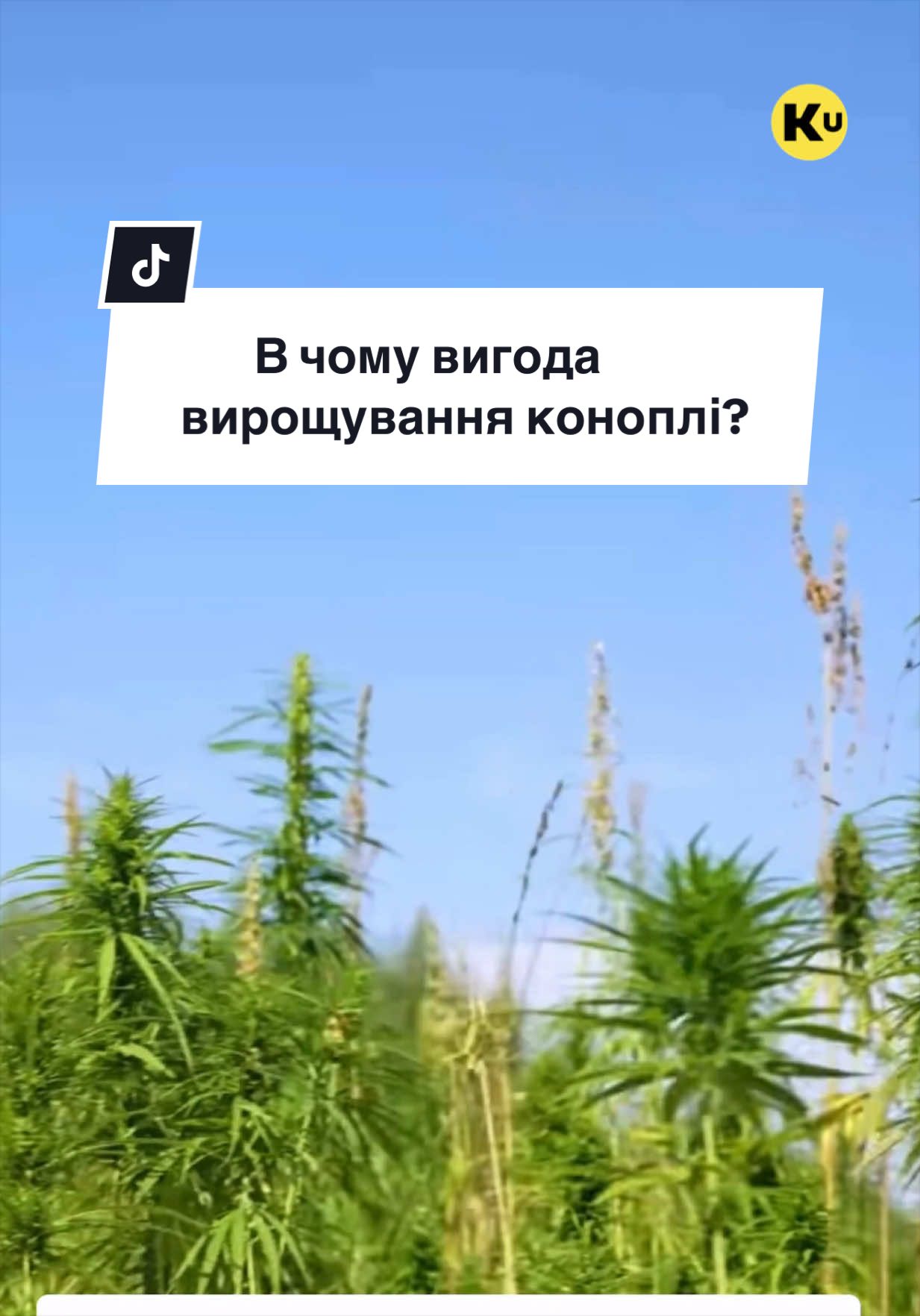@Ku 🟨🟩 Lati &ndash; Agro Ukraine