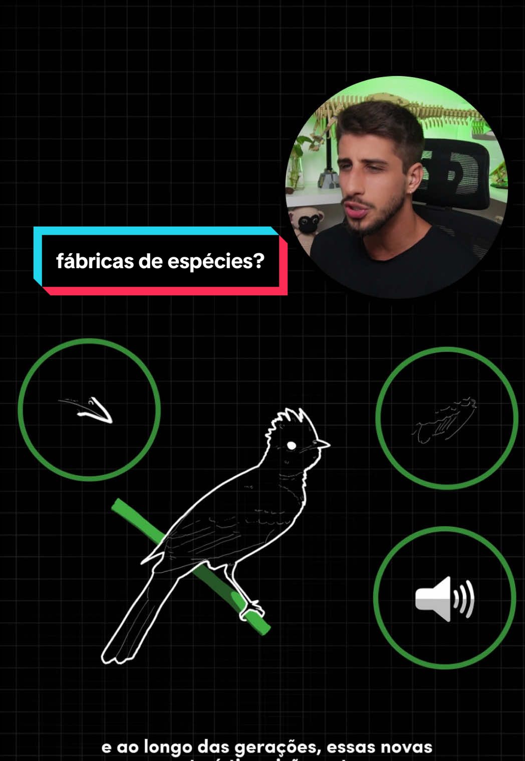 @Yago Stephano