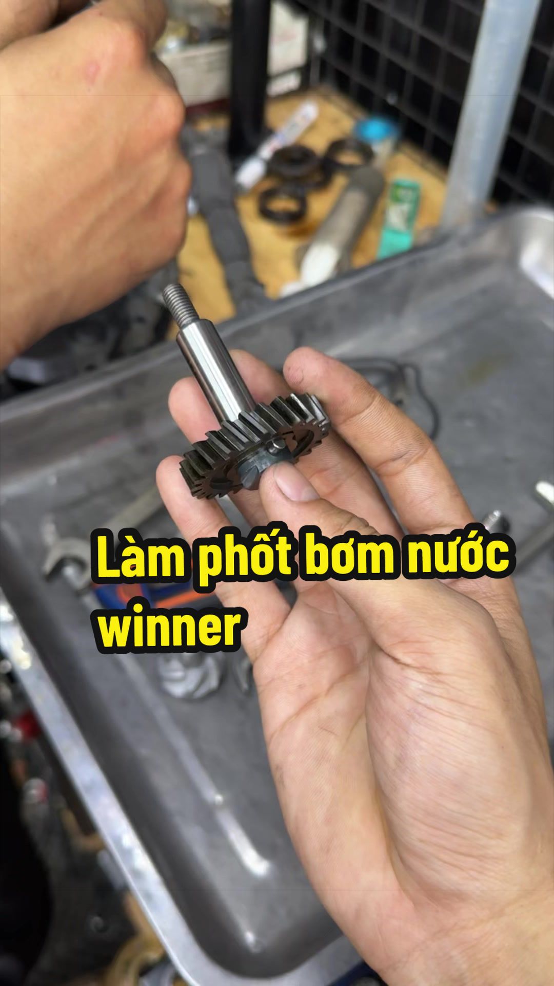 @Đạt L&agrave; 🇻🇳