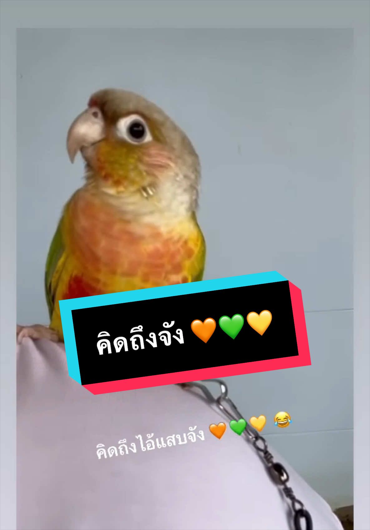 @Supee