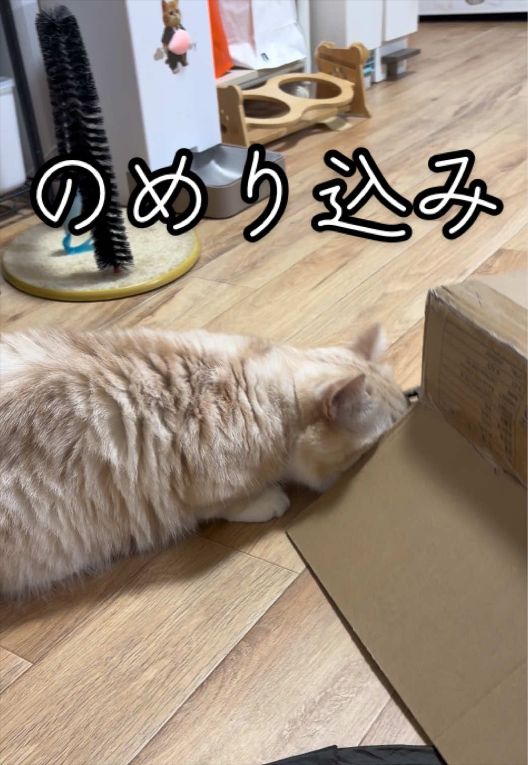 @縫くんと私