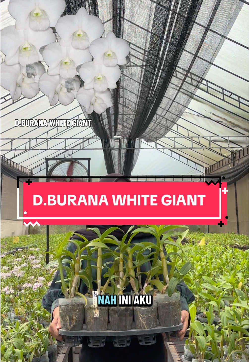 @Griya sekarindo utama