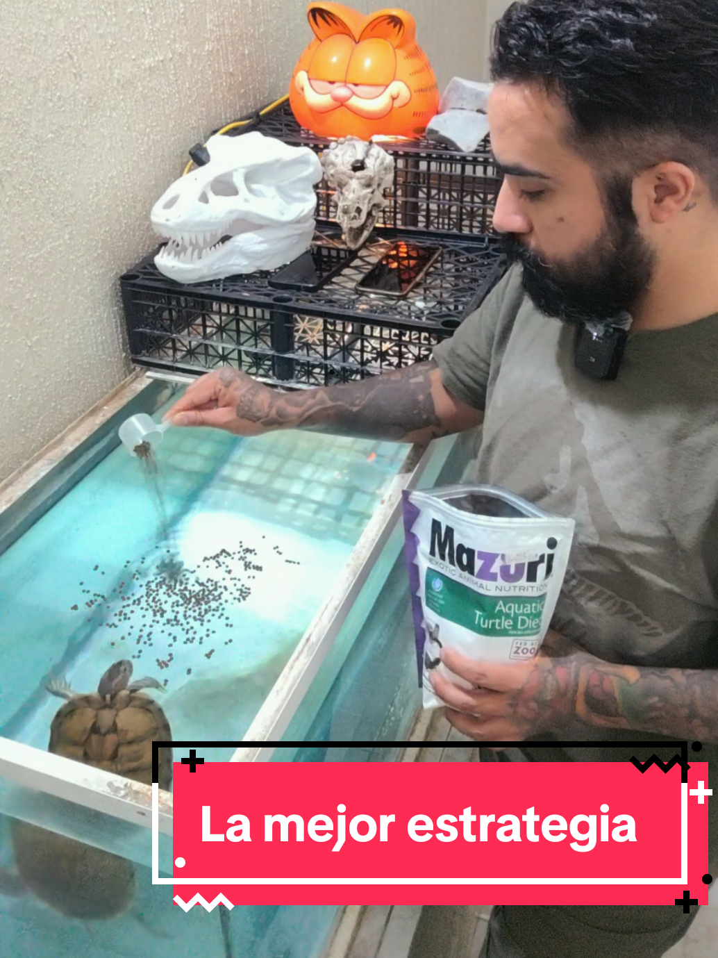@Tortubalance