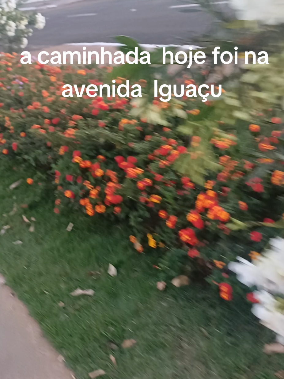 @Quesla da silva