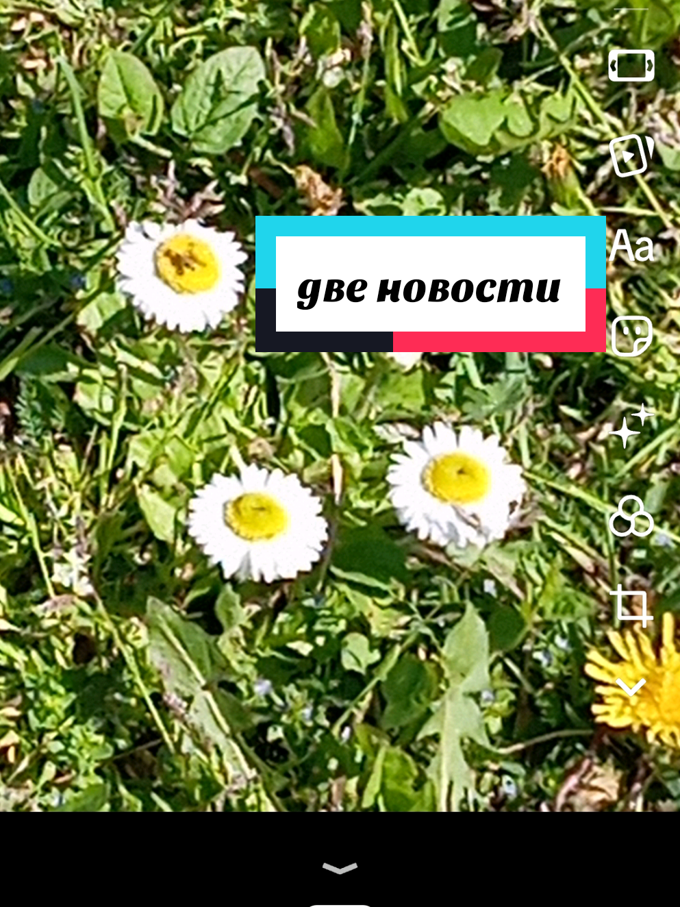 @Рыся✔️🇧🇾
