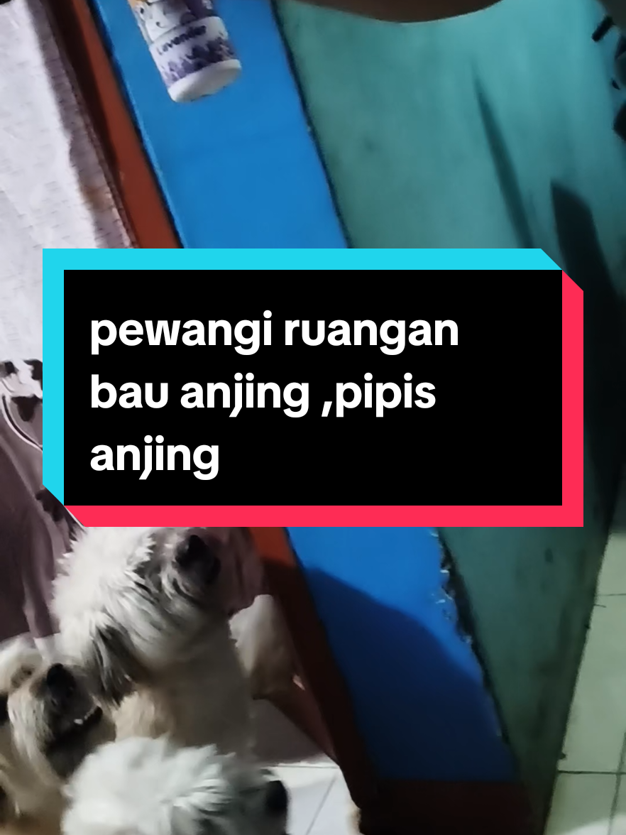 @Sarah Purnama ❤️❤️❤️