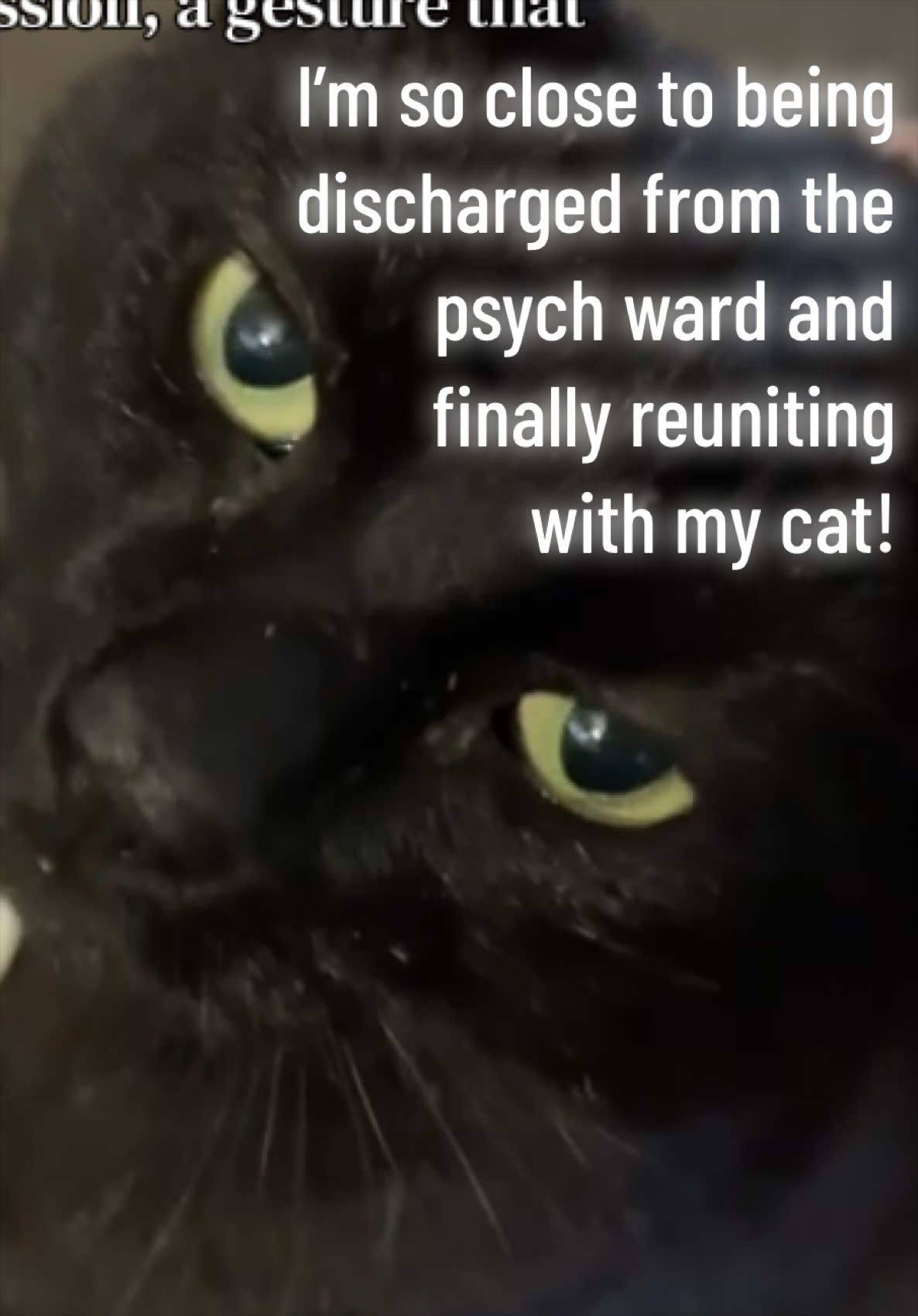 @Brianna 🐈&zwj;⬛ 🇵🇸 ☭