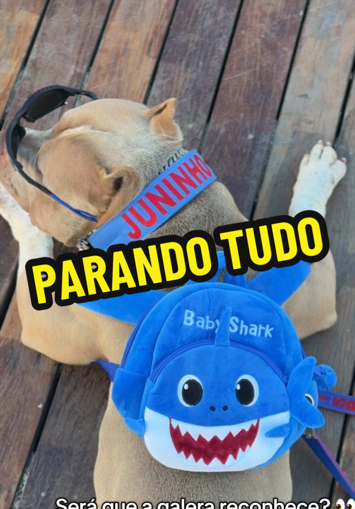 @Fam&iacute;lia Ragnar 🐶