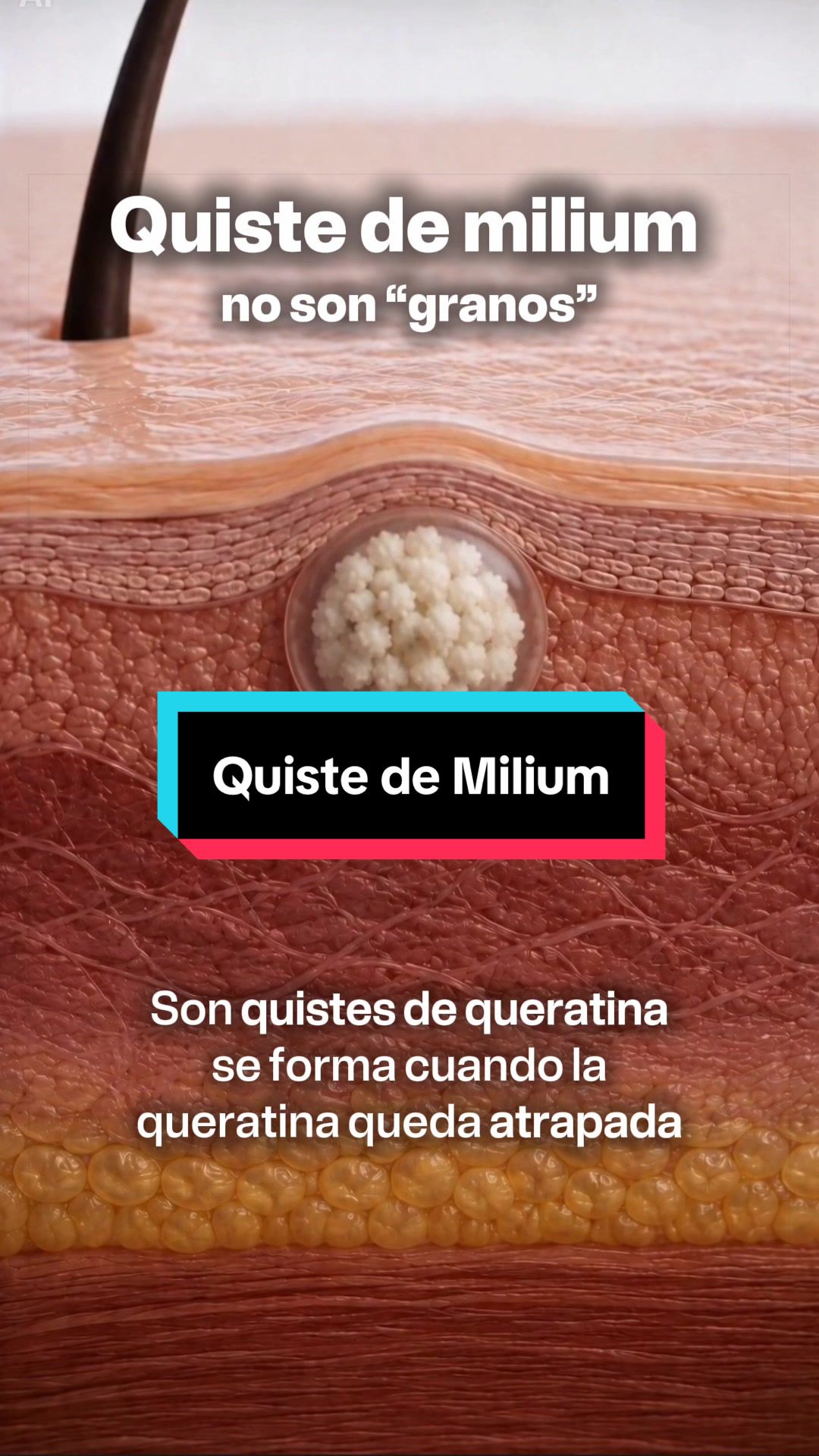 @Dr. Wilfrido Solano Derma