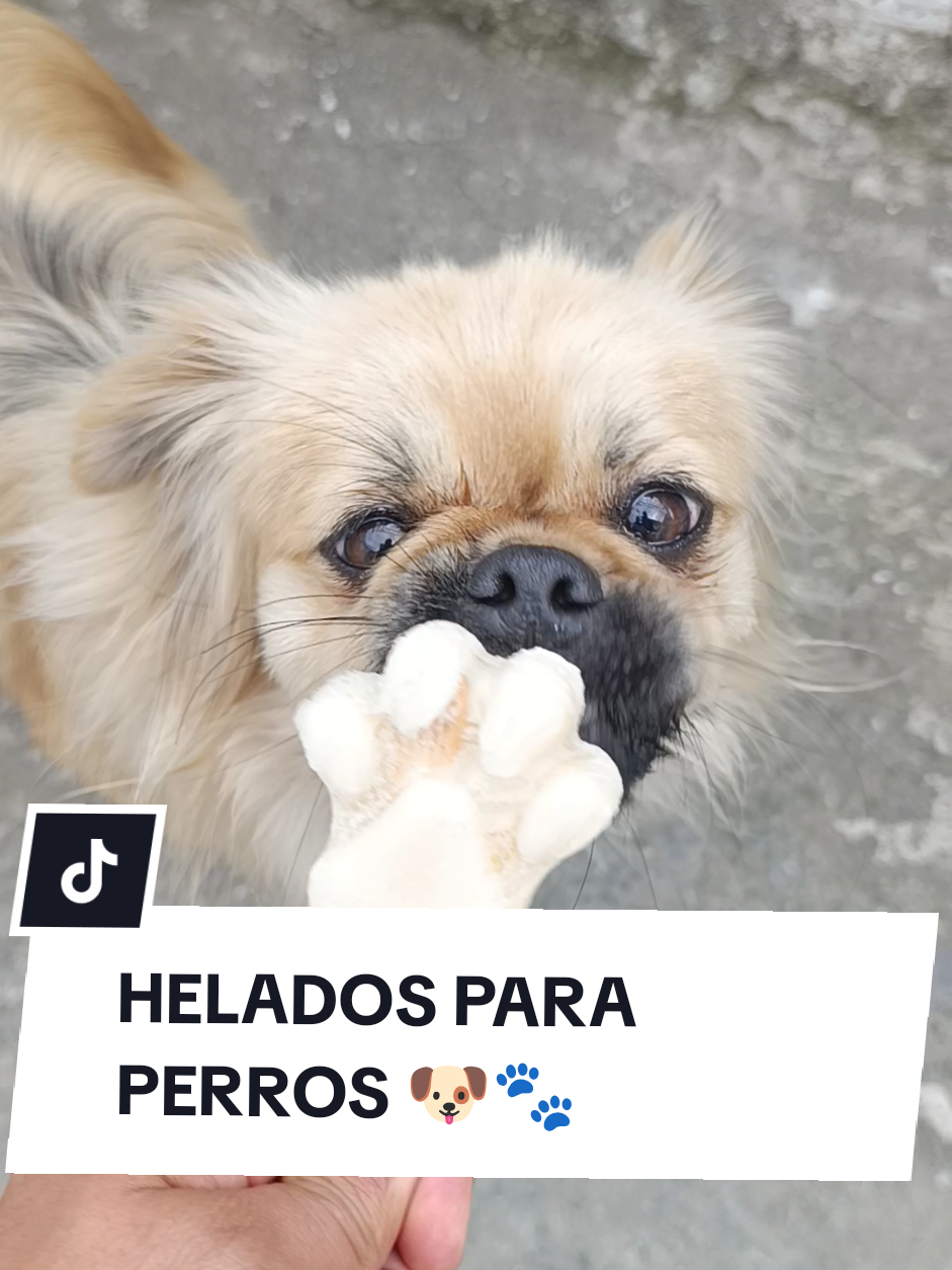 @Doggy Cream