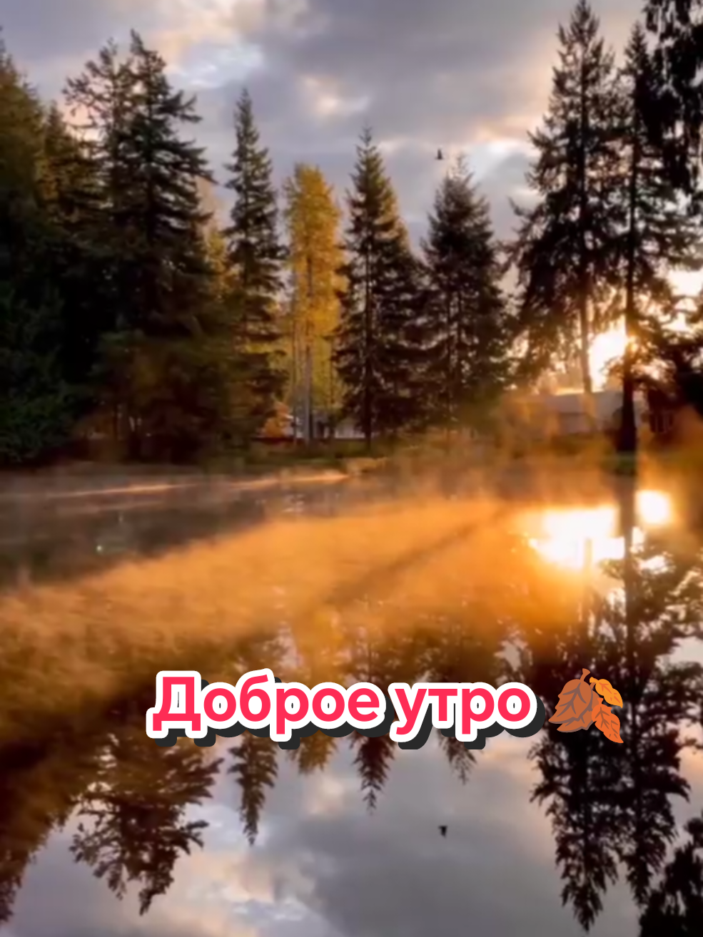 @inessa
